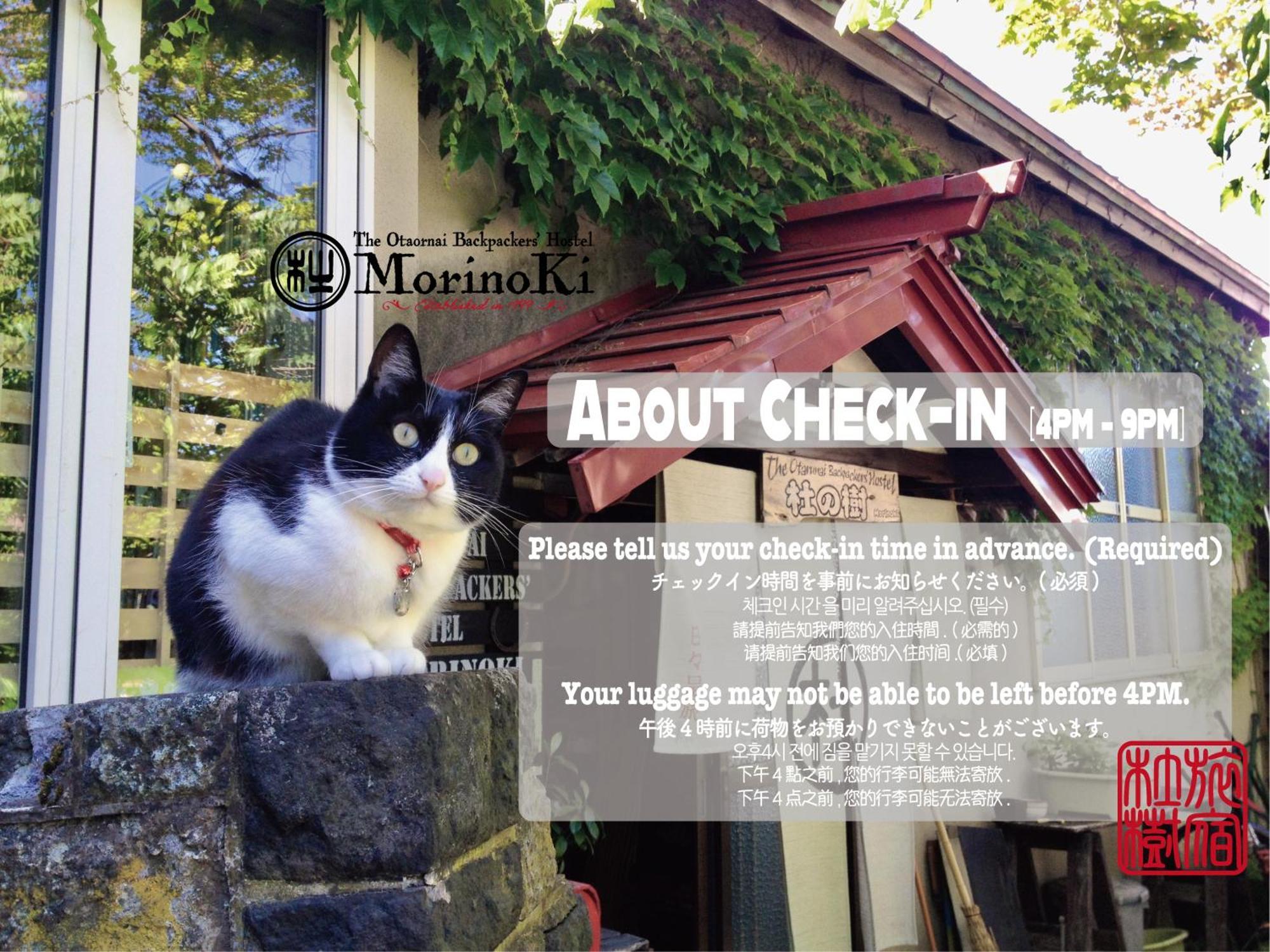 The Otaornai Backpacker'S Hostel Morinoki Otaru Bagian luar foto