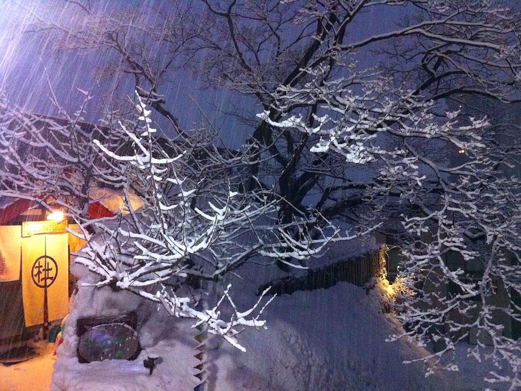 The Otaornai Backpacker'S Hostel Morinoki Otaru Bagian luar foto