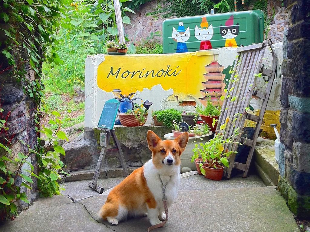 The Otaornai Backpacker'S Hostel Morinoki Otaru Bagian luar foto
